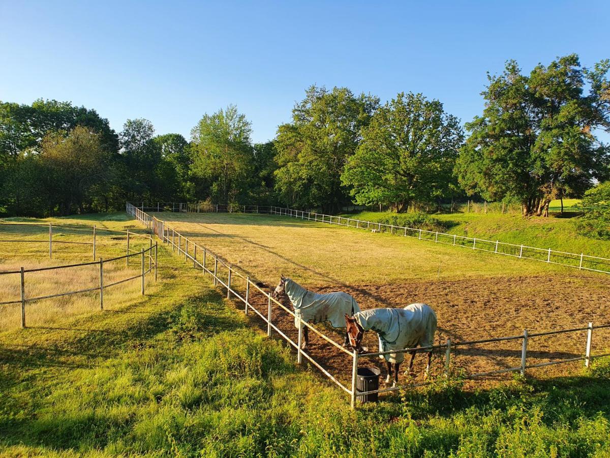 Ferme Equestre & Chambres D'Hotes Gateau Stables Proche Guedelon Saint-Amand-en-Puisaye Exterior photo