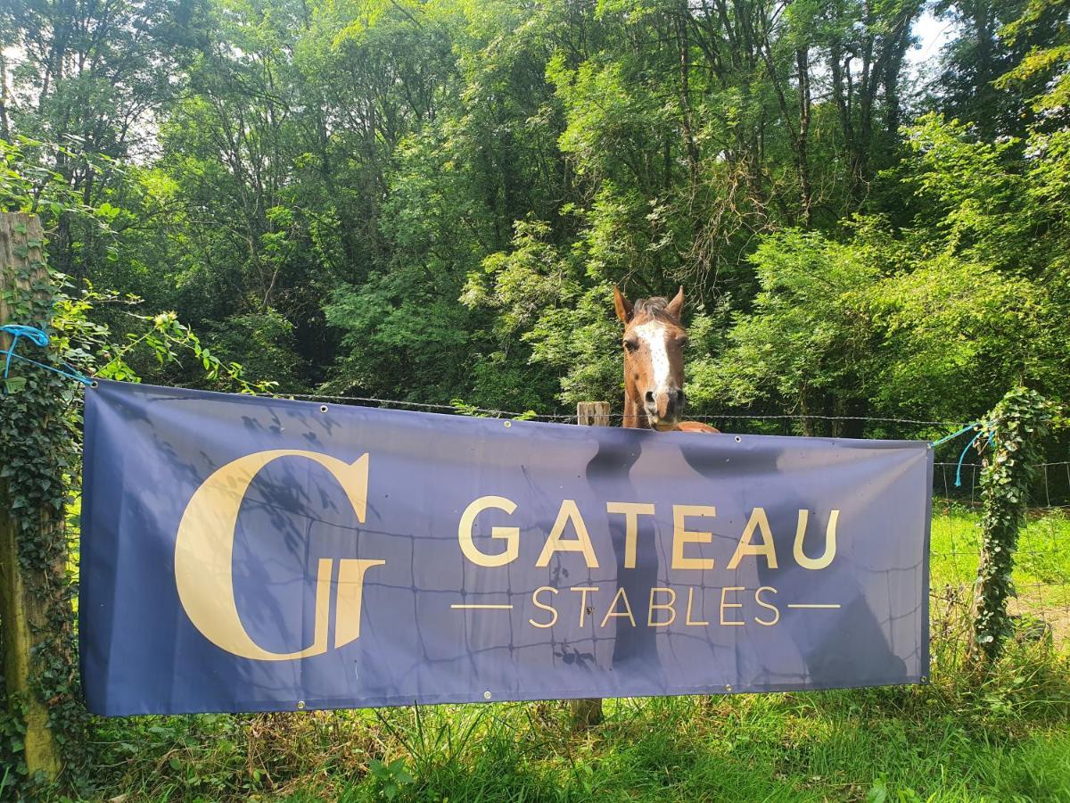 Ferme Equestre & Chambres D'Hotes Gateau Stables Proche Guedelon Saint-Amand-en-Puisaye Exterior photo